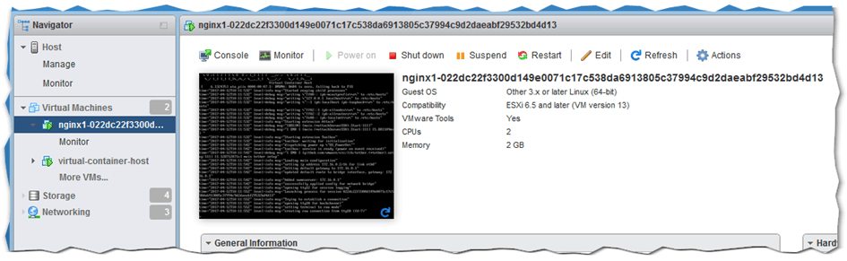 A container running as a VM on ESXi 6.5