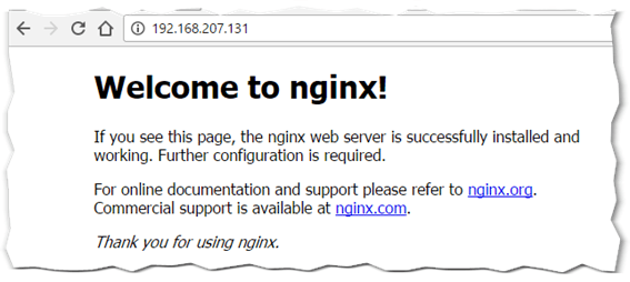 nginx web server running on a container accessed via a published port