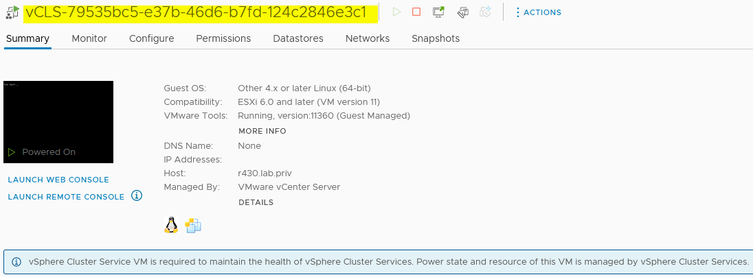 vCLS VMs now use the UUID instead of parenthesis in vSphere 7 u3